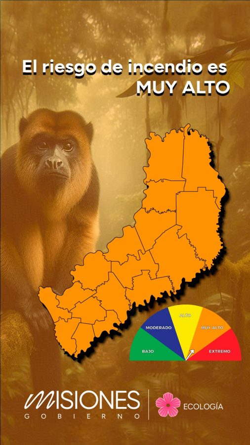 Advierten que es alto el riesgo de incendios en Misiones 1 2 - WhatsApp Image 2025 11 25 at 09.47.33 - 1