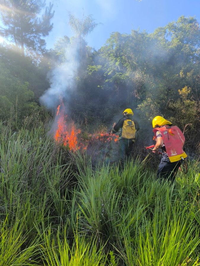 WhatsApp Image 2025 11 25 at 18.29.28 - 3