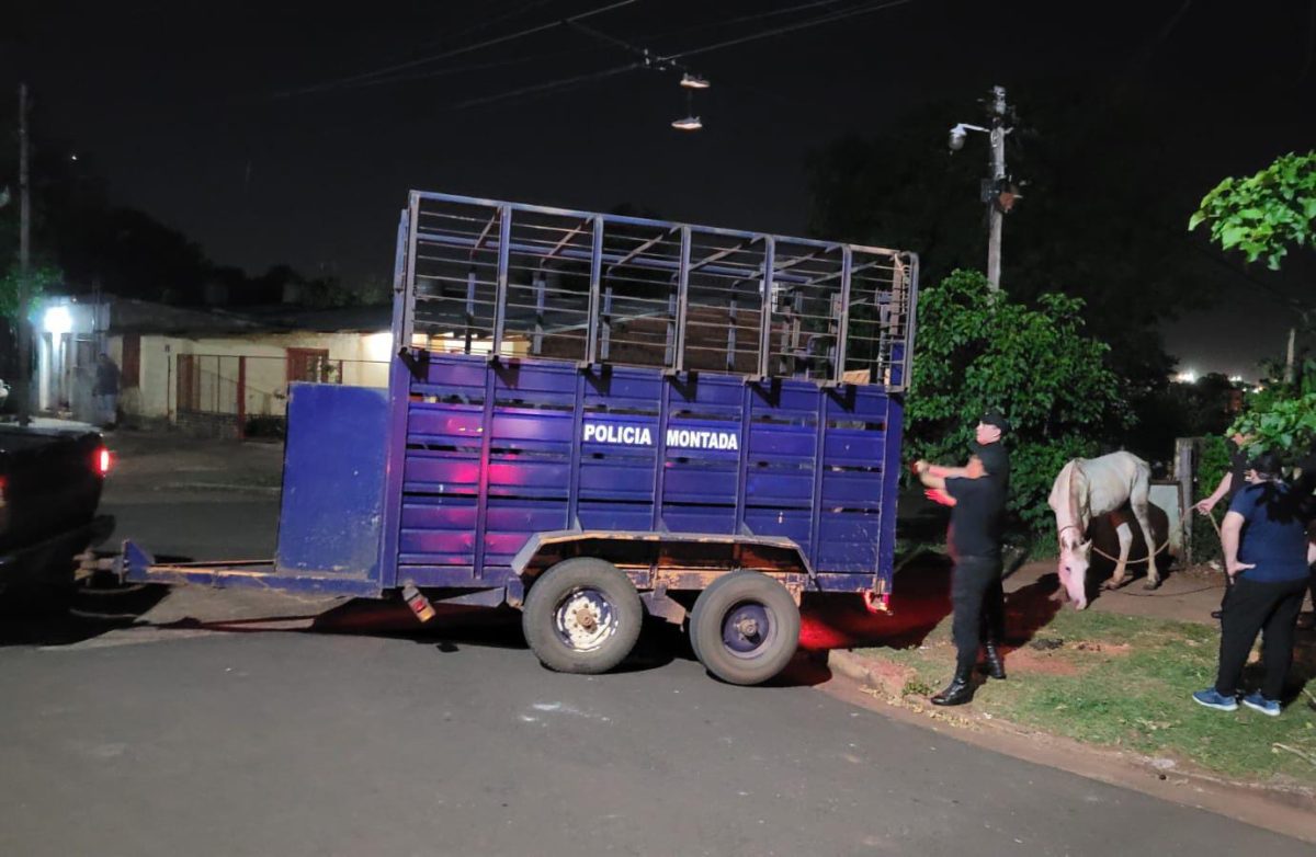 WhatsApp Image 2025 11 28 at 11.34.26 - 1