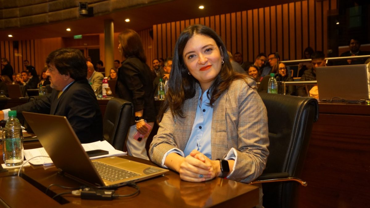 Sebastián Macias será presidente de la Cámara de Representantes de Misiones 1 2 - anazul centeno - 1