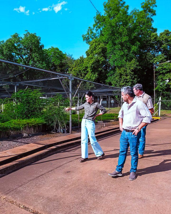 auditoria iram biofabrica 3 - 5