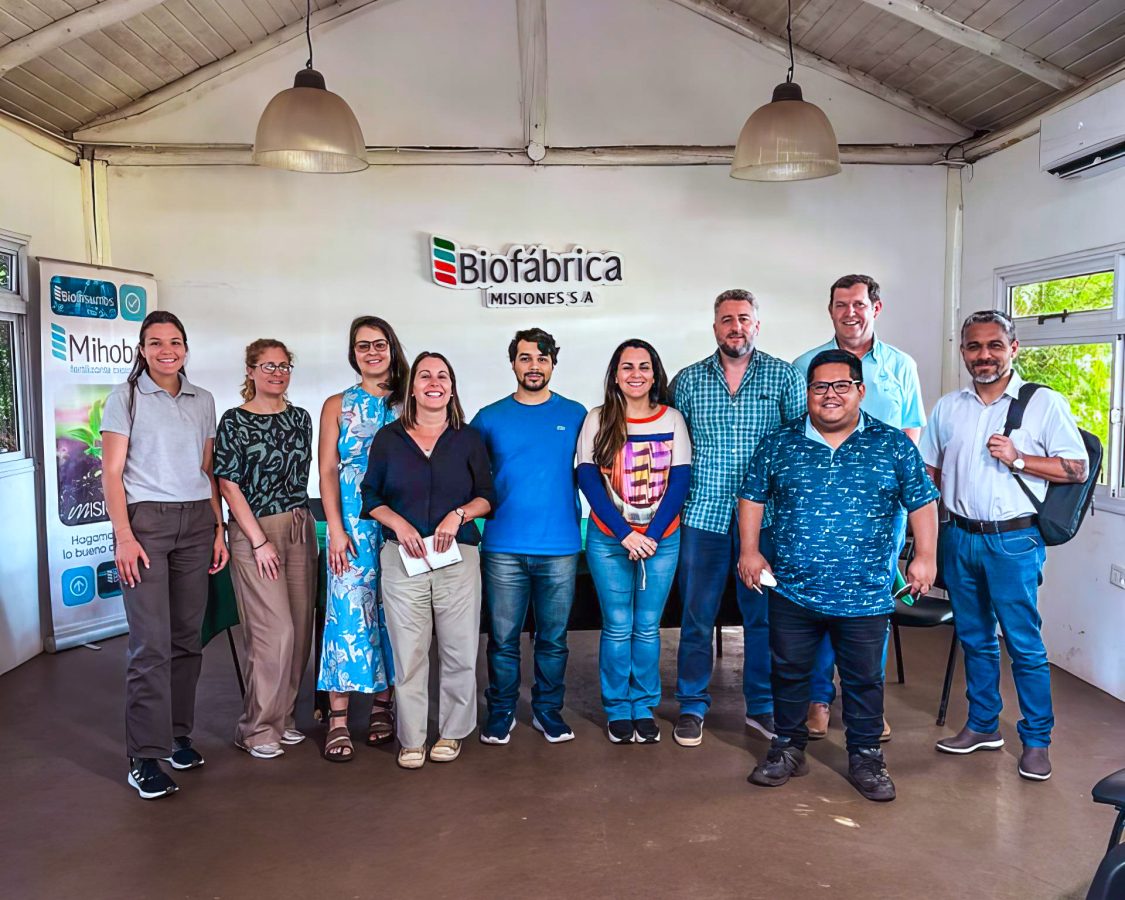 auditoria iram biofabrica 4 - 7