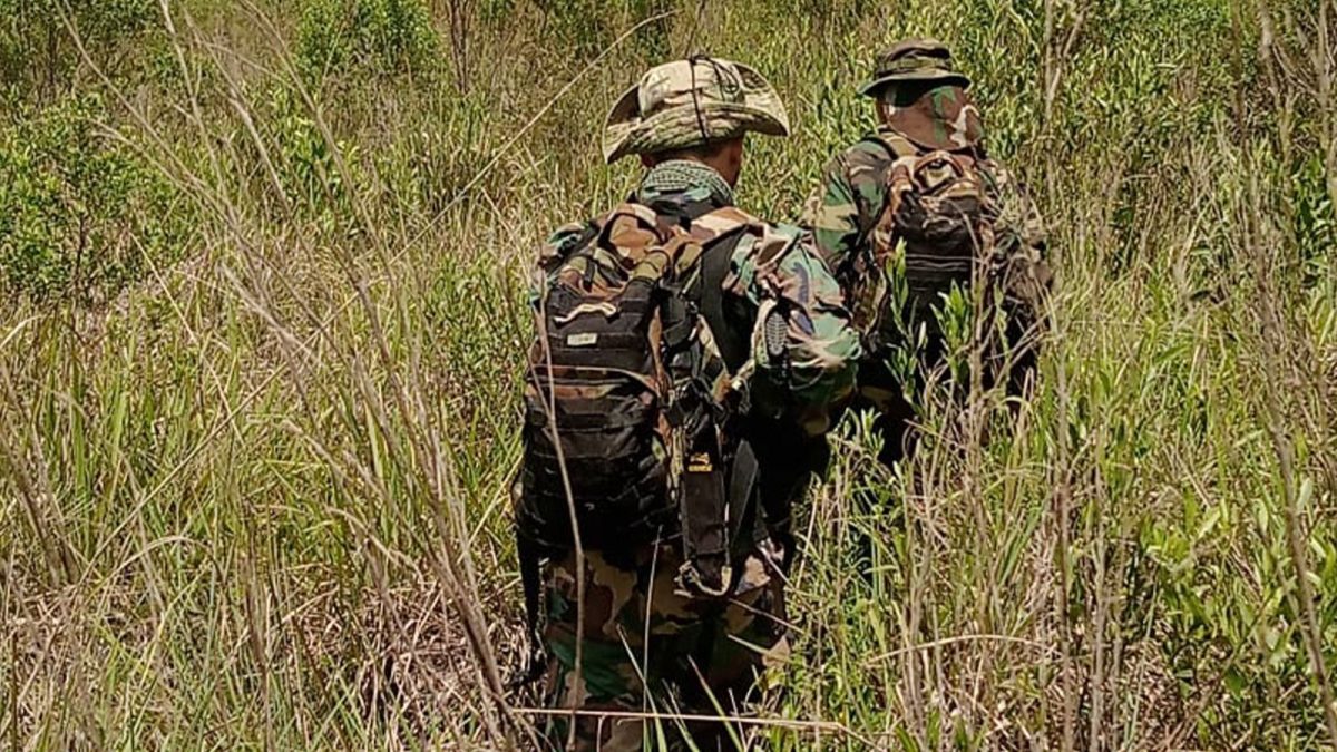 caza furtiva 3 1 - 1