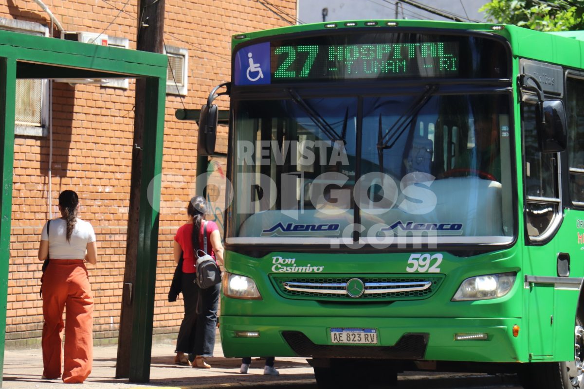 colectivos coles (1)