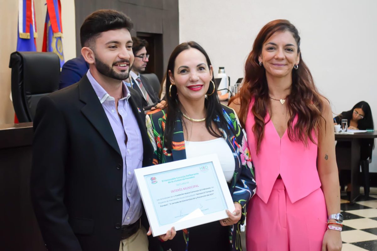 Concejales presentaron un proyecto para regular los eventos privados masivos en Posadas 1 2 - concejo deliberante 1 - 1