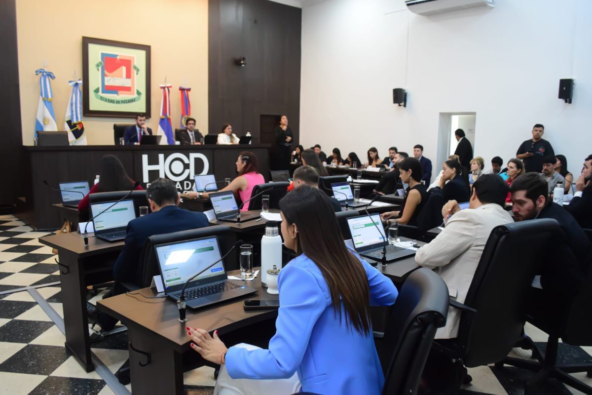 concejo deliberante (2)