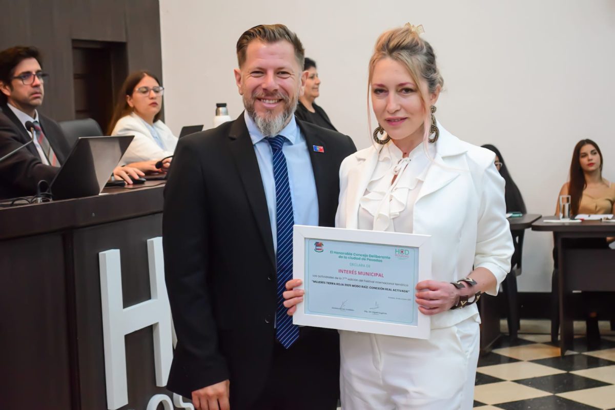 Concejales presentaron un proyecto para regular los eventos privados masivos en Posadas 3 6 - concejo deliberante 4 - 5