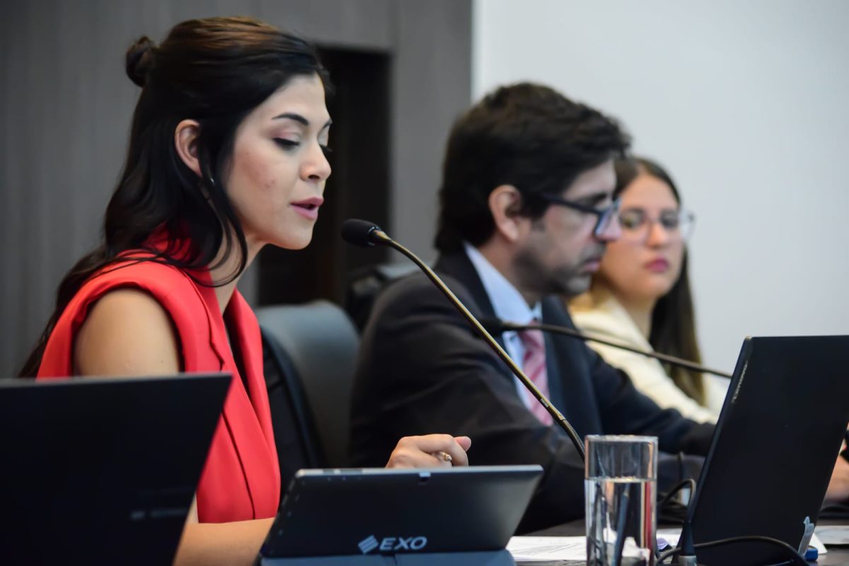 concejo posadeno 6 - 13