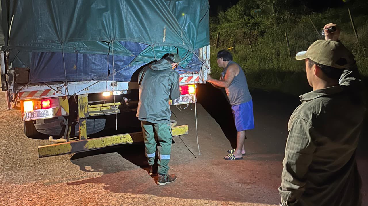 controles camiones 6 - 7