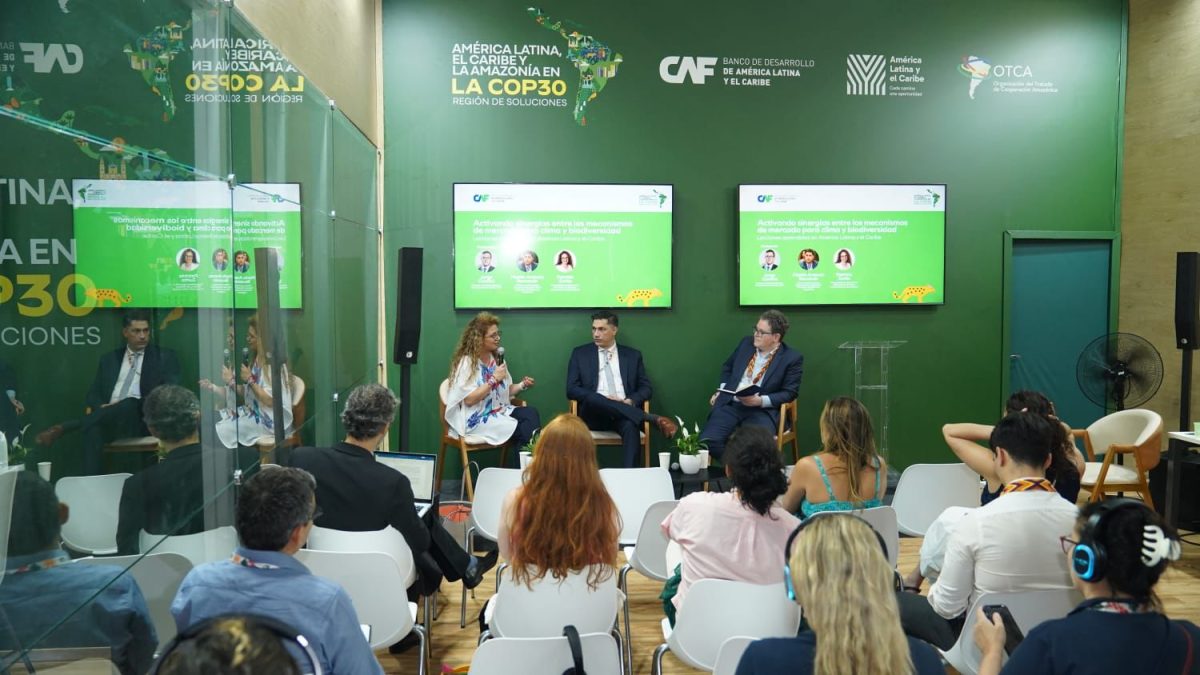 ecología en brasil (1)