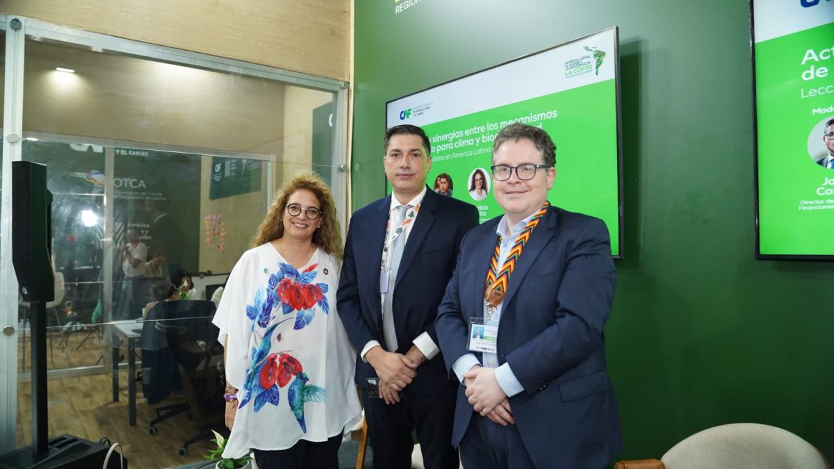 Misiones participa en la COP30 en un debate clave sobre financiamiento climático y conservación 1 2 - ecologia en brasil 2 - 1