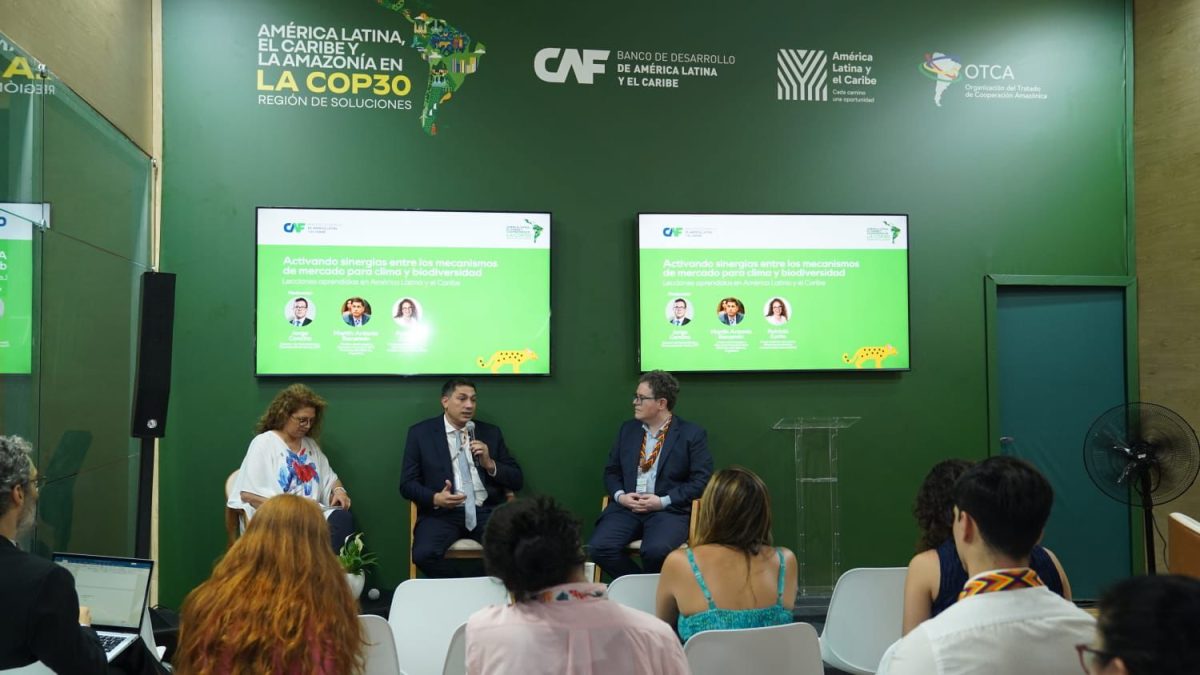 Misiones participa en la COP30 en un debate clave sobre financiamiento climático y conservación 2 4 - ecologia en brasil 3 - 3