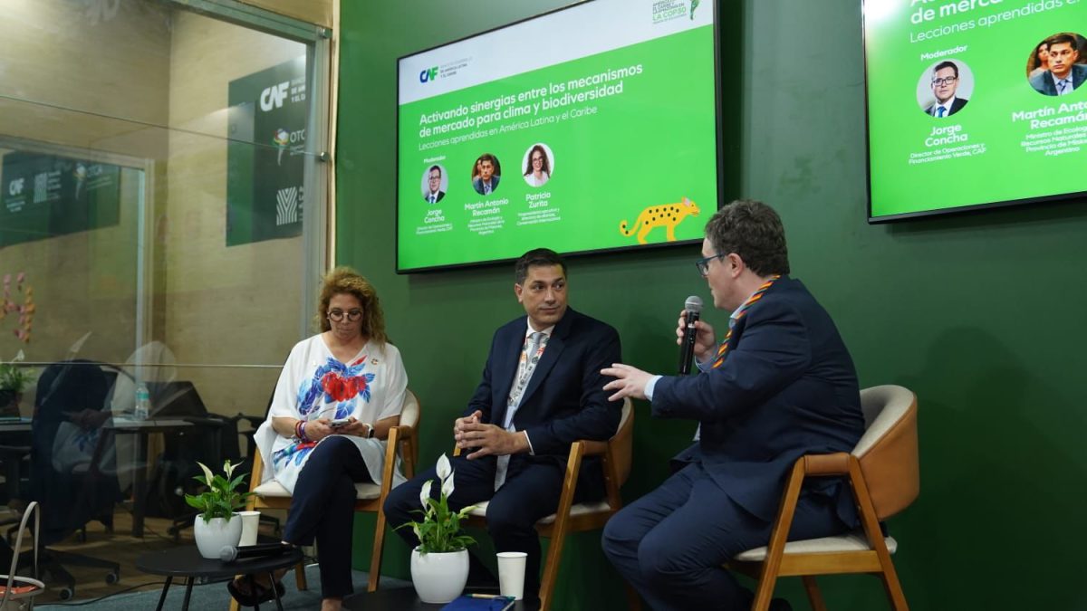 Misiones participa en la COP30 en un debate clave sobre financiamiento climático y conservación 3 6 - ecologia en brasil 4 - 5