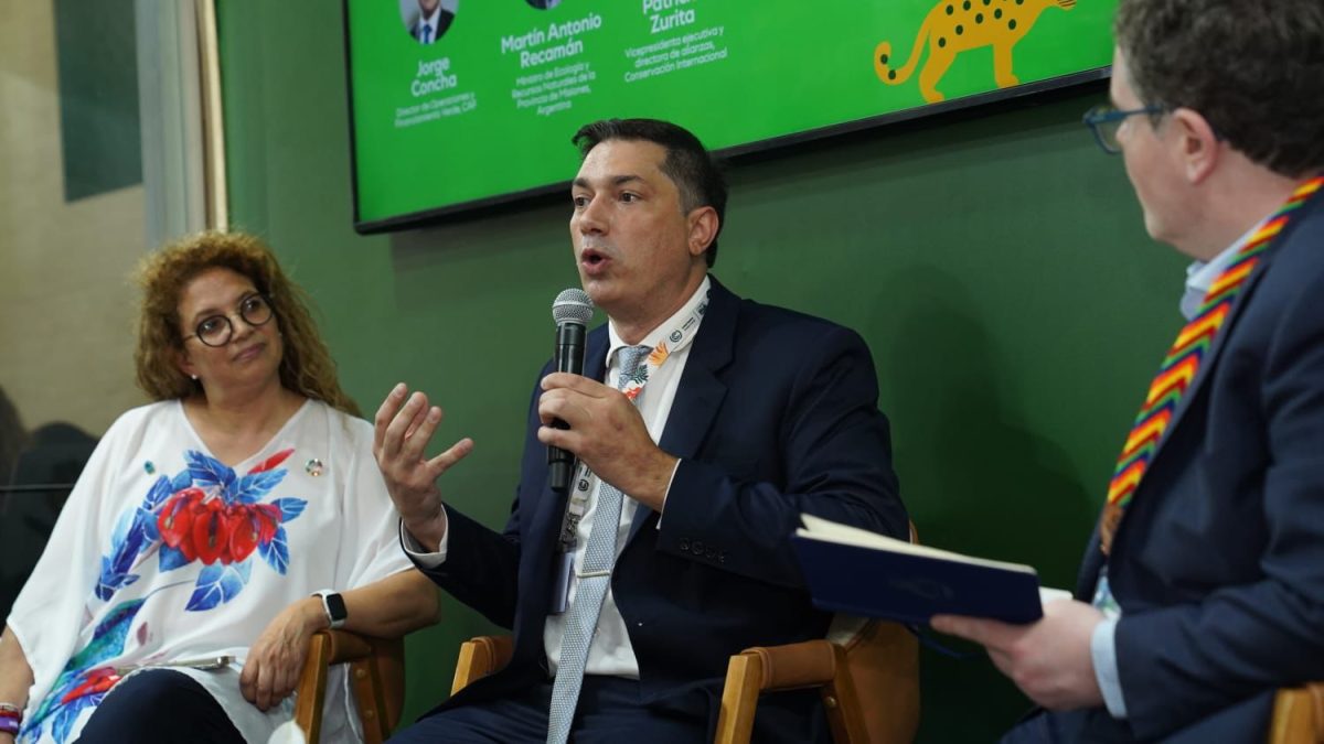 Misiones participa en la COP30 en un debate clave sobre financiamiento climático y conservación 4 8 - ecologia en brasil 5 - 7