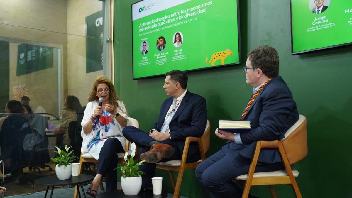 Misiones participa en la COP30 en un debate clave sobre financiamiento climático y conservación 5 10 - ecologia en brasil 6 - 9