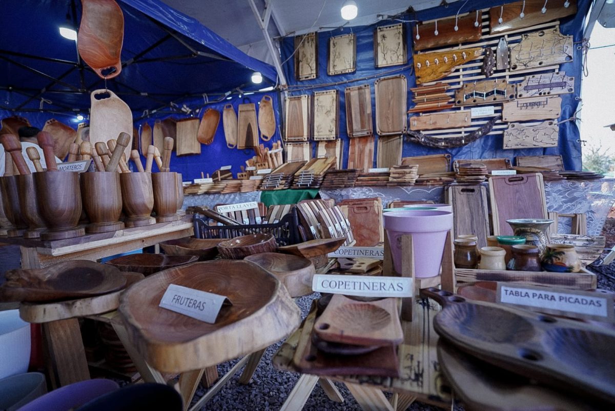 Comenzó la 40° edición de la Fiesta de la Madera en San Vicente 7 14 - fiesta de la madera san vicente 8 - 13