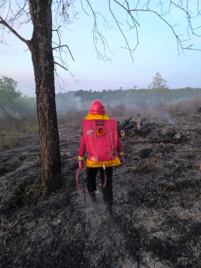 Incendio de malezas en Santa Ana afectó cinco hectáreas 2 4 - incendio santa ana 3 - 3