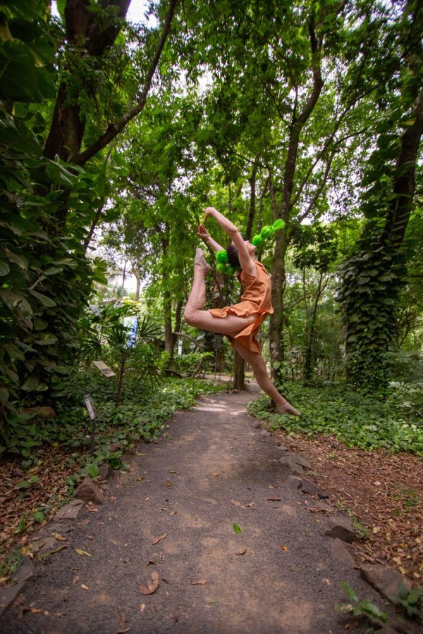 El Museo Cambas y el Parque Paraguayo serán escenario del Festival Mujeres Tierra Roja 3 6 - mujeres tierra rooja 4 - 5