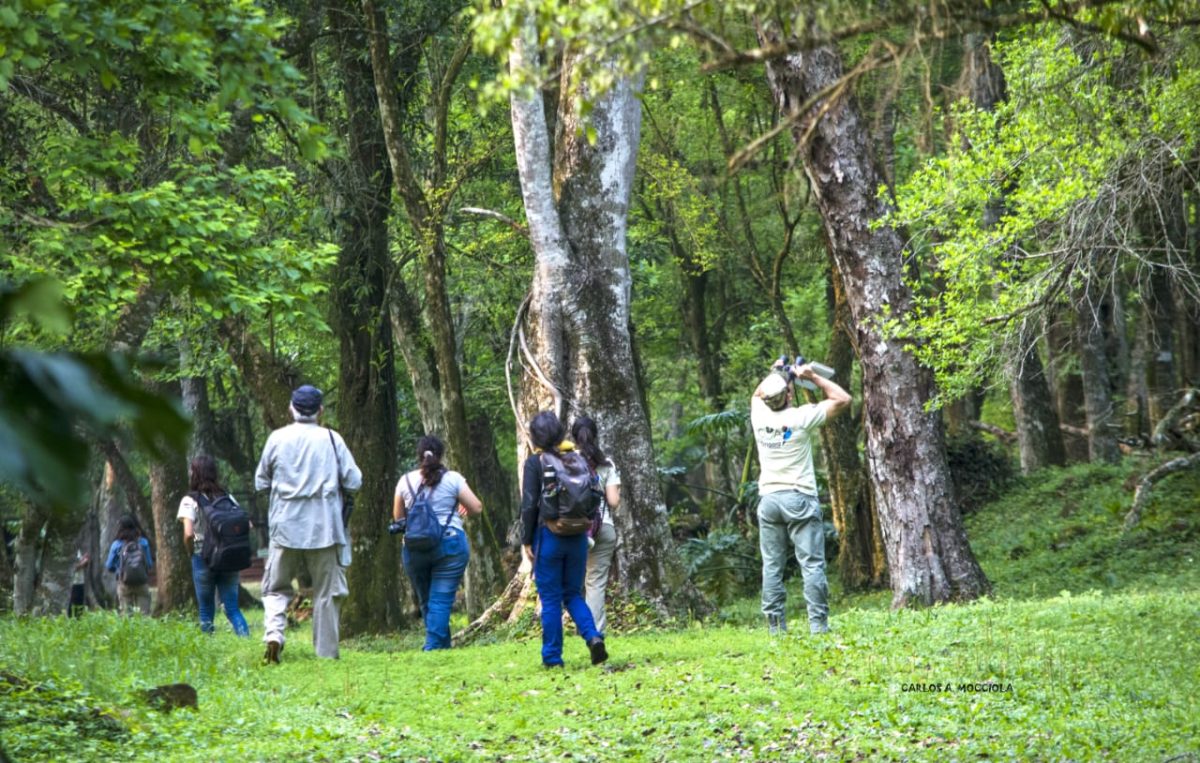 observacion de aves 1 - 1