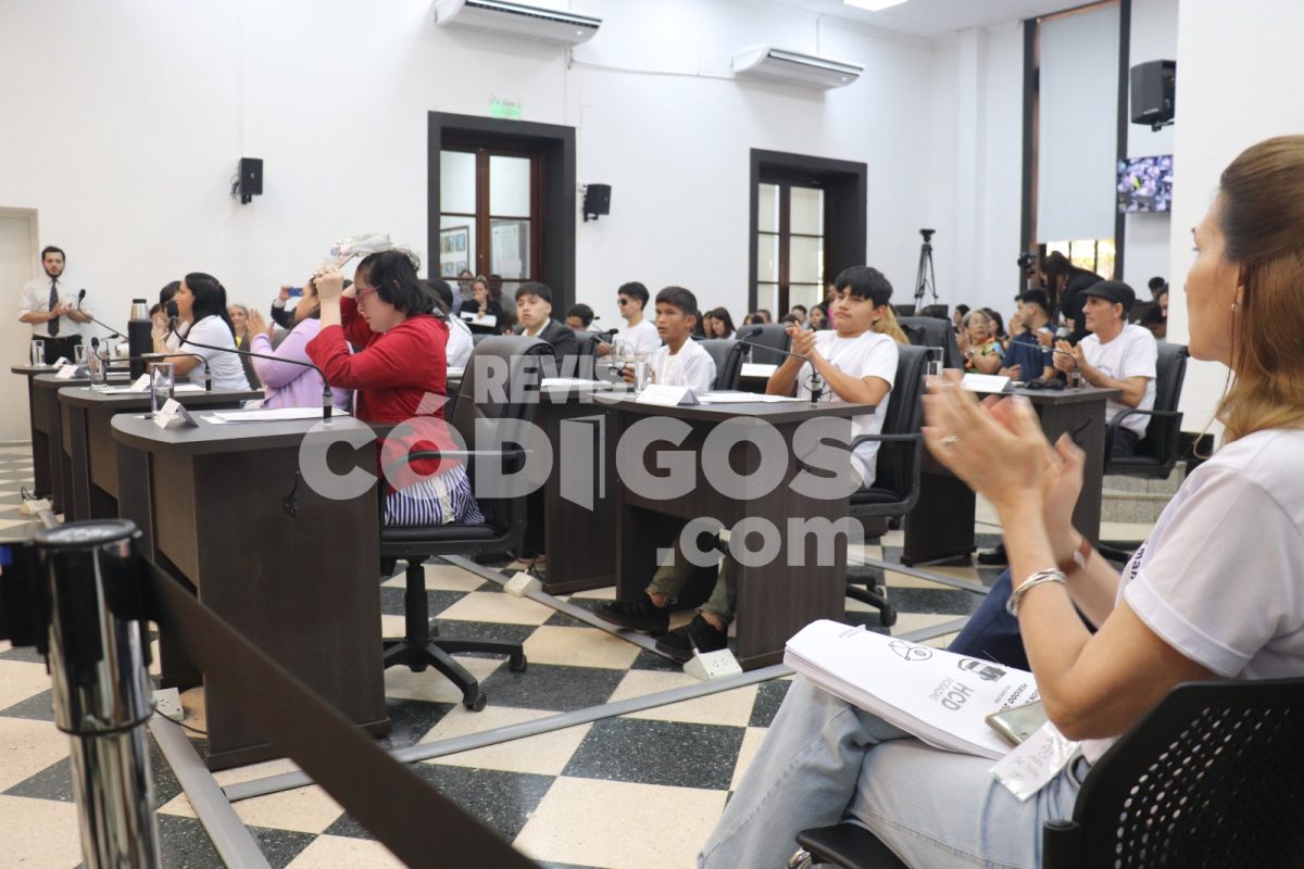 parlamento discapacidad 1 - 1