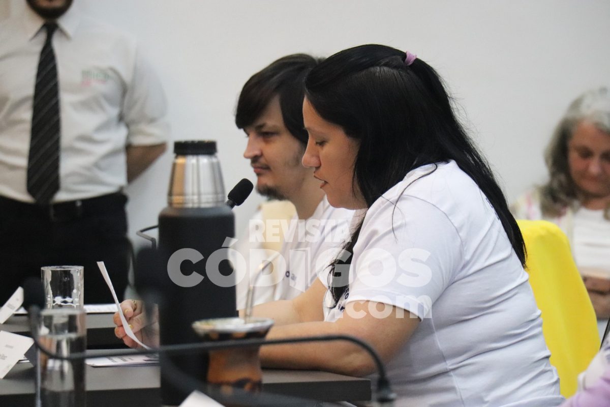 parlamento discapacidad 2 - 3