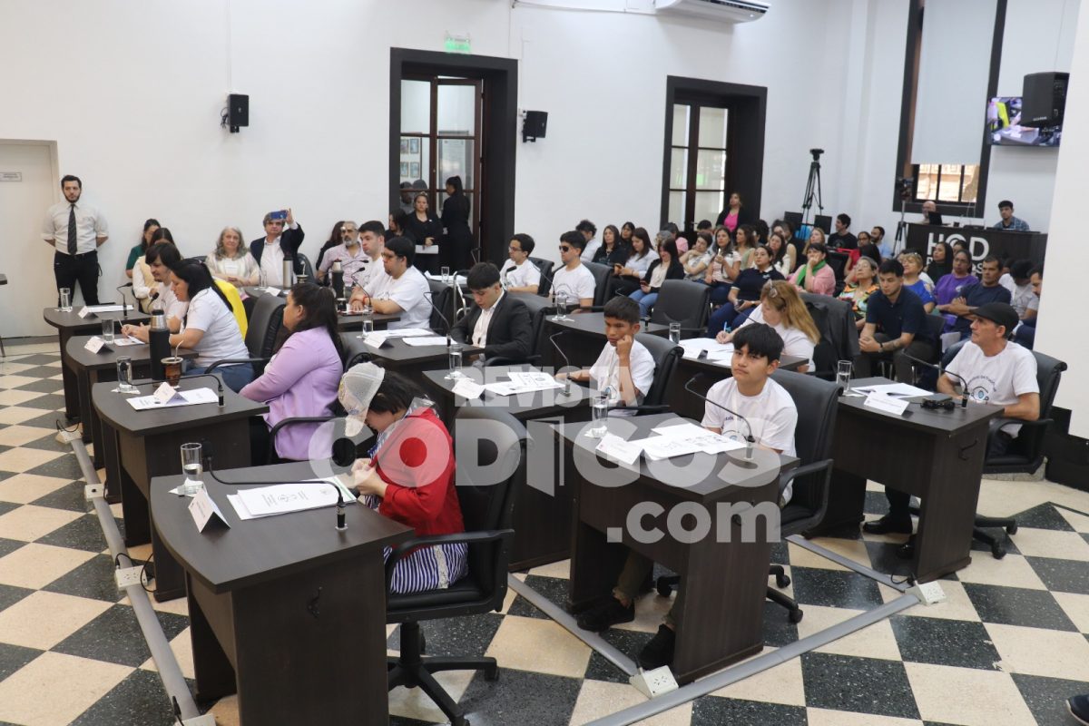 parlamento discapacidad (3)