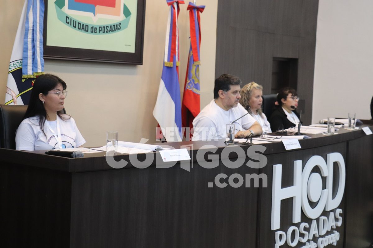 parlamento discapacidad 4 - 5