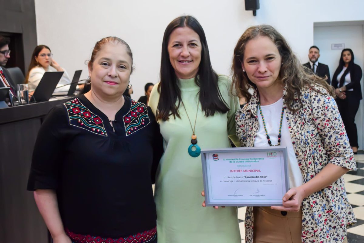 presupuesto concejo posadas 10 - 3