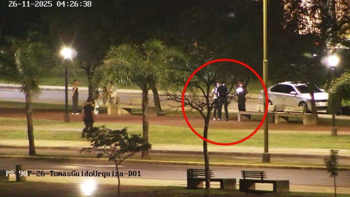 robo plantines 4 - 5