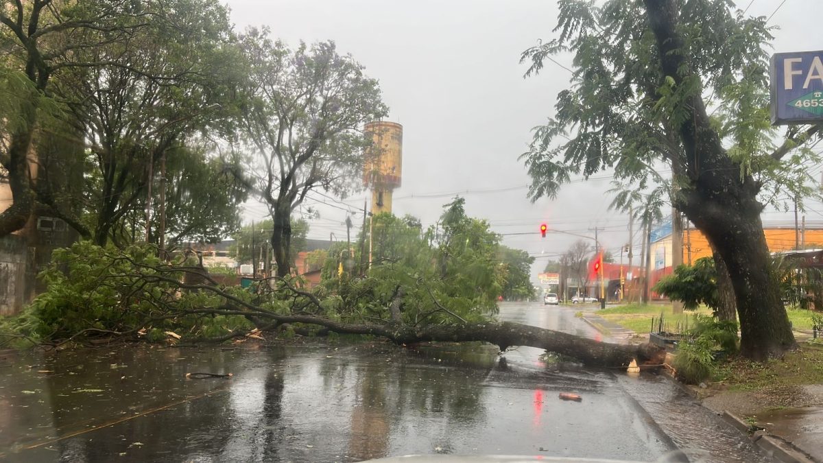 temporal posadas domingo 1 - 1