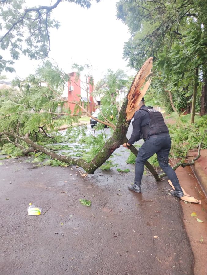 temporal posadas domingo 2 - 5
