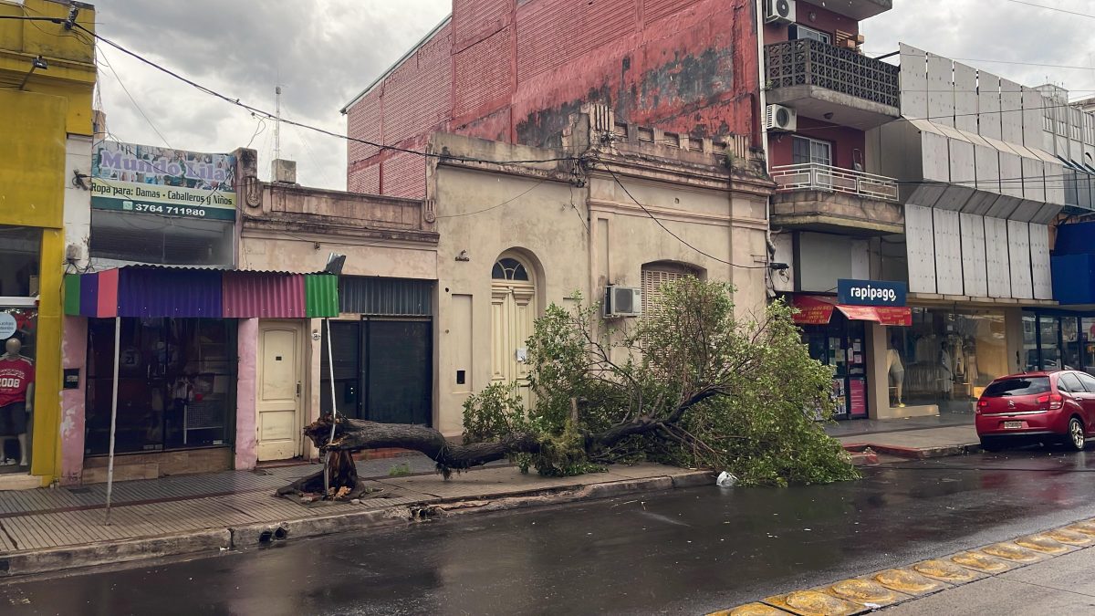 temporal posadas domingo 4 - 9
