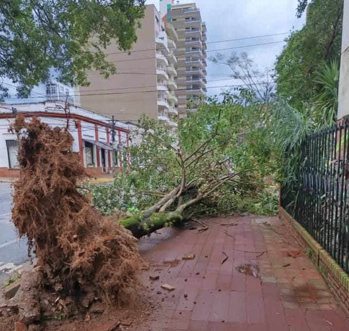 tormenta posadas - 1