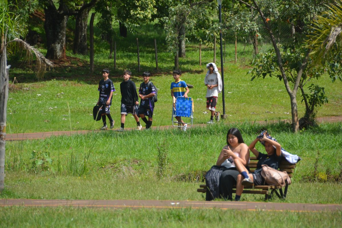 El Parque de la Ciudad vivió a pleno el Torneo Municipal de Fútbol Infantil 1 2 - torneo infantil 2 - 1