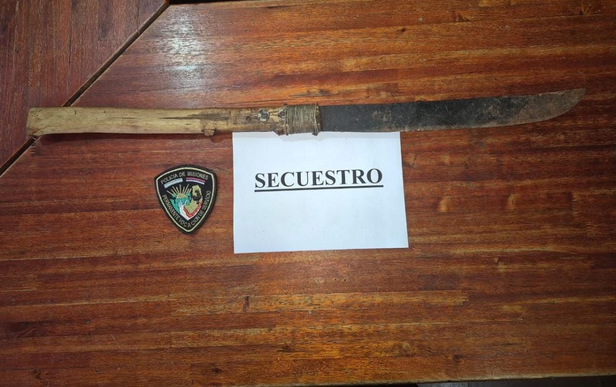 vecino agresor 2 - 1