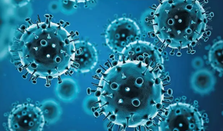 Chile detectó la variante H3N2 y Argentina analiza si el virus ya circula en el país