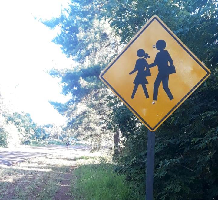 Vialidad provincial repuso e incorporó nuevas señales en rutas misioneras 1 2 - DPV CARTELES RUTAS 1 - 1