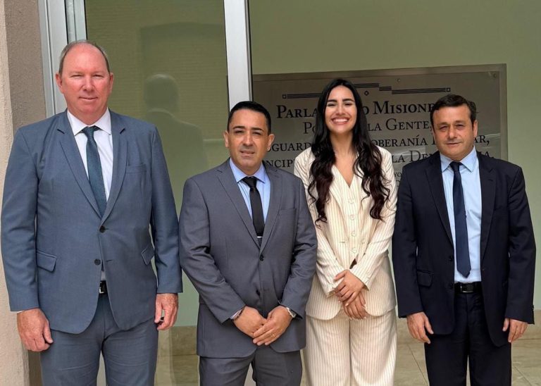 Presupuesto 2026: diputados misioneros rechazan la derogación de emergencias en discapacidad y universidades