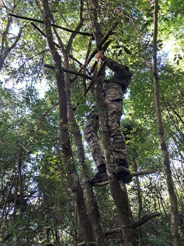 Intensifican operativos contra la caza furtiva para proteger la selva misionera 2 4 - Intensifican operativos contra la caza furtiva para proteger la selva misionera 1 - 3