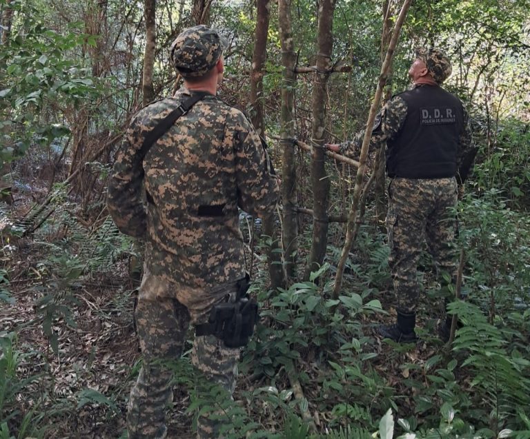 Intensifican operativos contra la caza furtiva para proteger la selva misionera