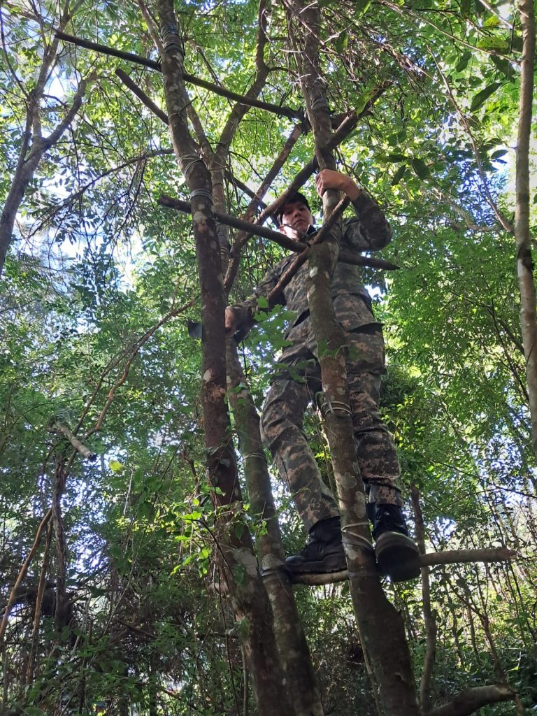 Intensifican operativos contra la caza furtiva para proteger la selva misionera 3 6 - Intensifican operativos contra la caza furtiva para proteger la selva misionera 3 - 5