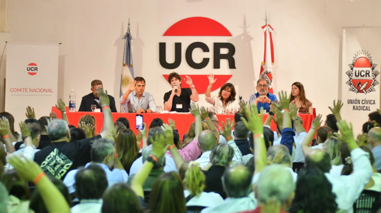 La Unión Cívica Radical eligió al sucesor de Lousteau en la presidencia