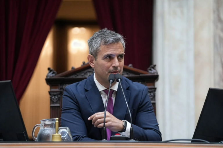 Martín Menem fue reelecto como presidente de la Cámara de Diputados