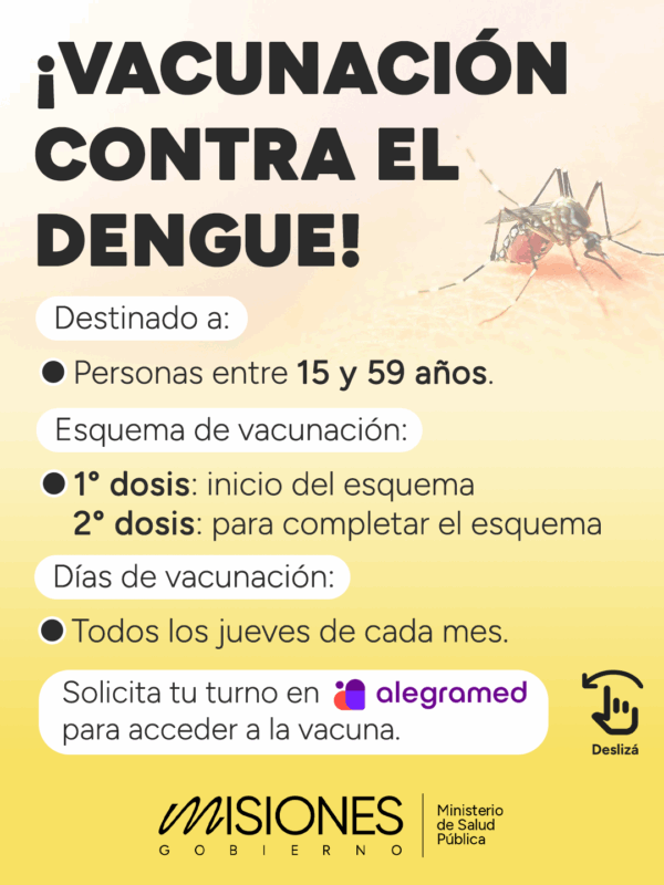 Misiones refuerza operativos contra el dengue e instan a la eliminación de recipientes con agua 1 2 - Misiones refuerza operativos contra el dengue e instan a la eliminacion de recipientes con agua 1 - 1
