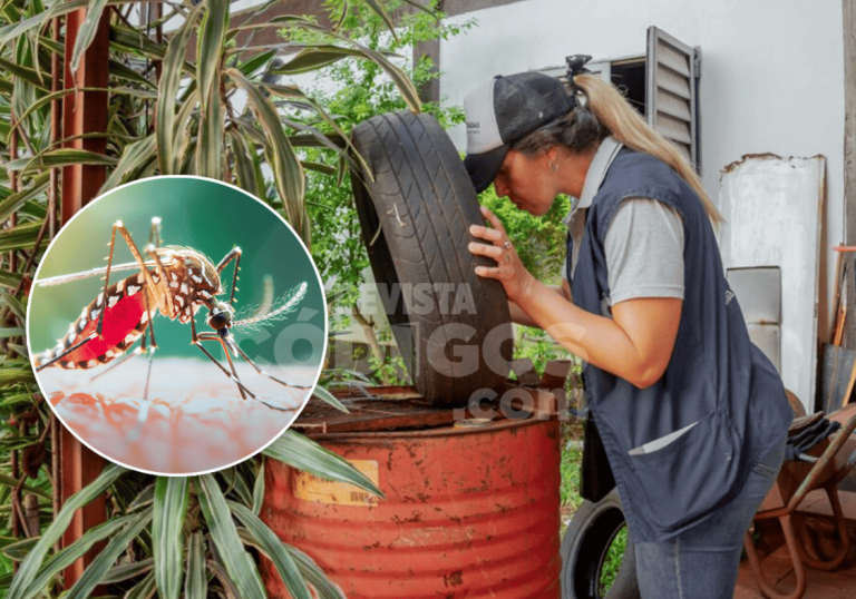 Misiones refuerza operativos contra el dengue e instan a la eliminación de recipientes con agua