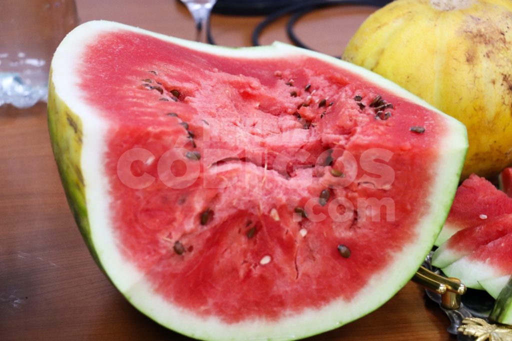 Ruiz de Montoya revaloriza a productores locales con la 15° Fiesta Provincial de la Sandía 6 12 - Ruiz de Montoya revaloriza a productores locales con la 15° Fiesta Provincial de la Sandia 8 - 11