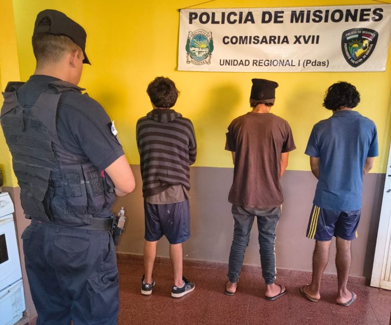 Tres hermanos arrestados cuando ingresaban a robar en un taller de Posadas