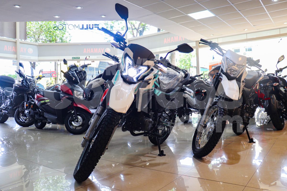 Trevisan sobre la baja del consumo Cuando el mercado esta en caida no hay estrategia que sirva 2 - 11