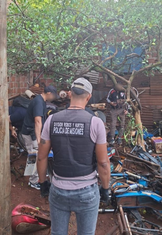 WhatsApp Image 2025 12 01 at 18.12.39 1 - 3