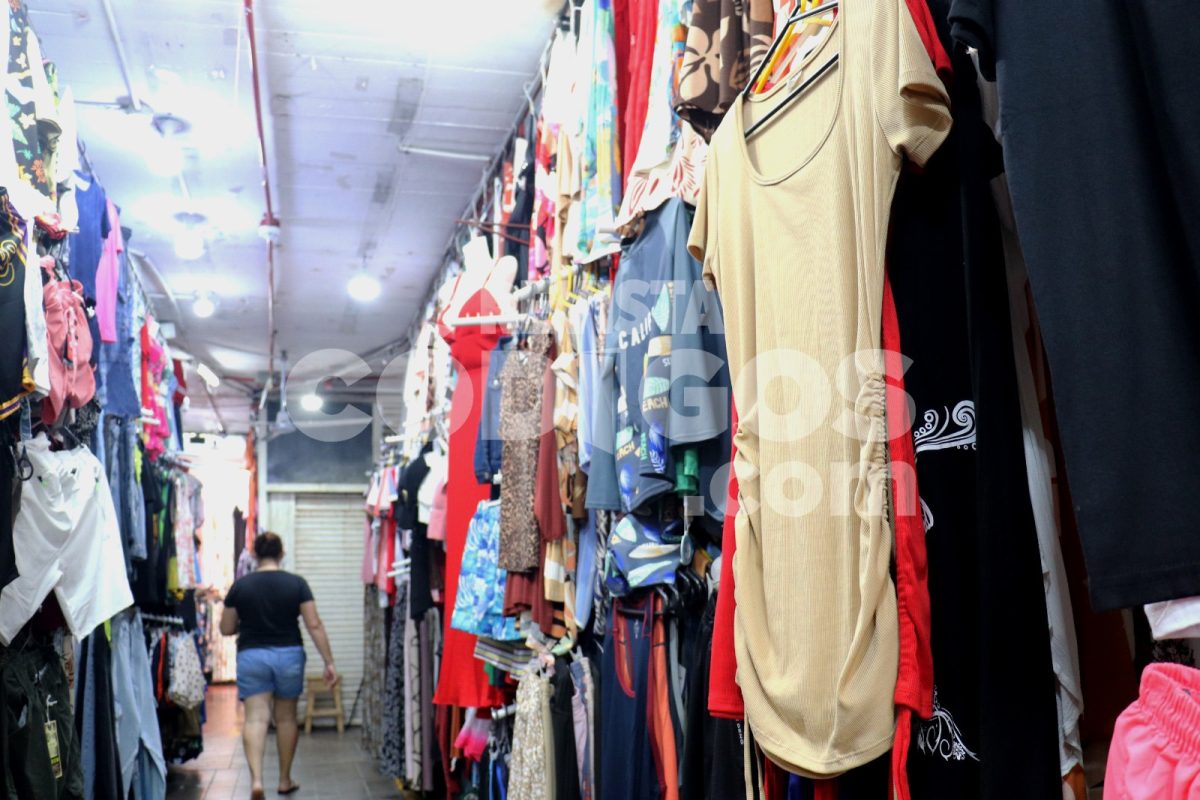 WhatsApp Image 2025 12 02 at 17.19.52 - 19